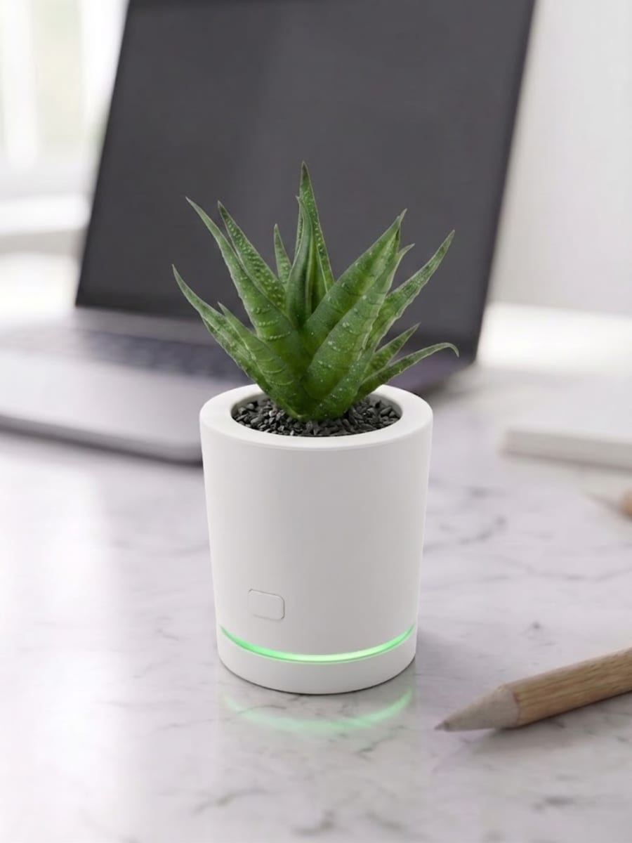 Purify Petal on marble desk beside laptop with green LED glow