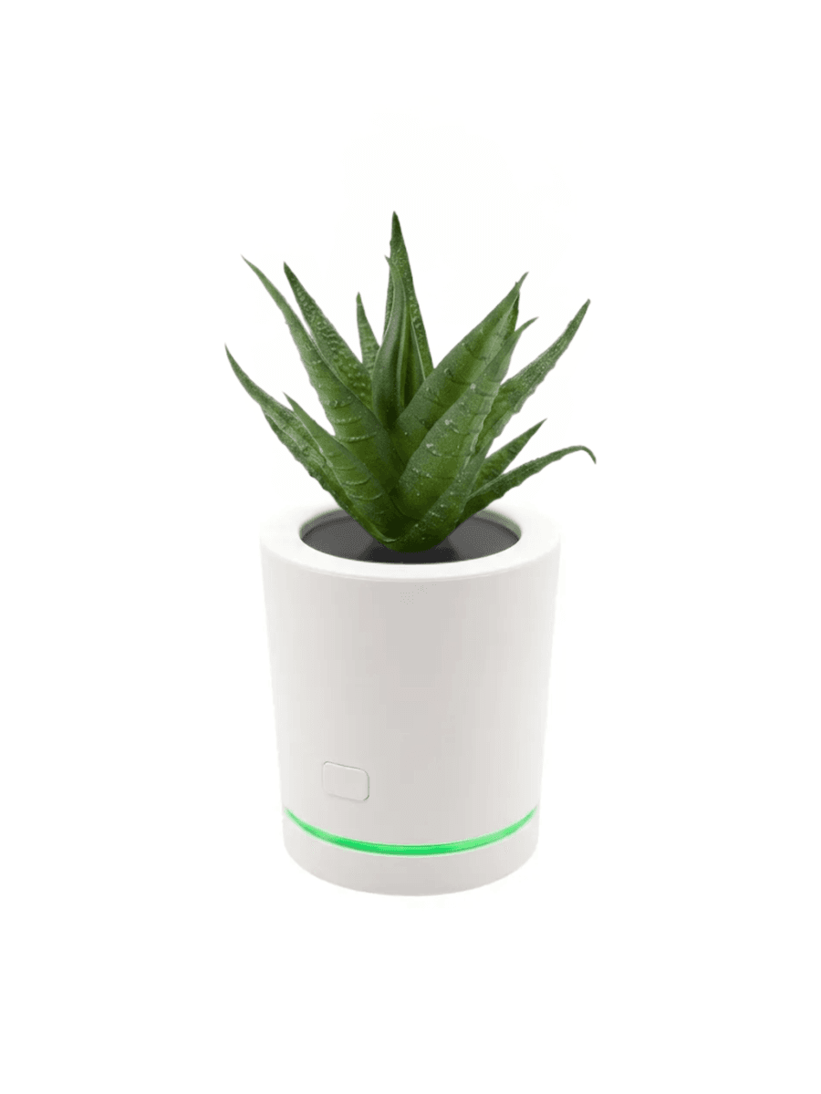 Purify Petal — white cylindrical pot with aloe succulent and green LED ring